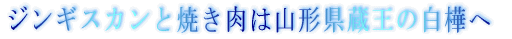 �W���M�X�J���ƏĂ����͎R�`�̔�����